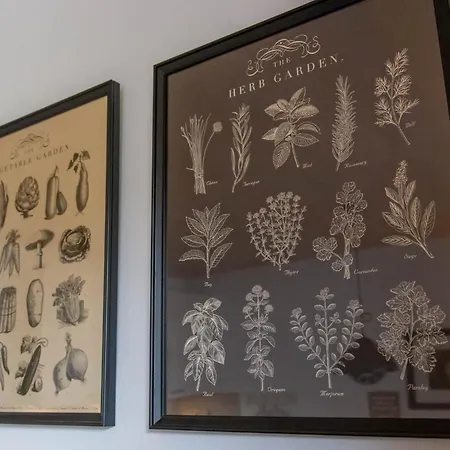 Sandra Mueller דירה *